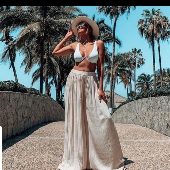 Zara Palazzo Pleated Pants - Vanilla - Picture 2 of 11